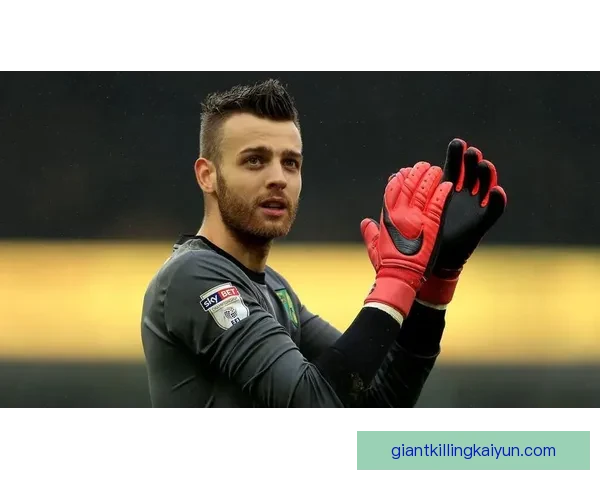 南安普顿积分纪录分析：英超赛季走势清晰，表现稳健值得关注