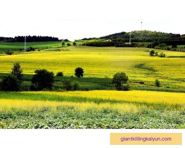 圣图尔登在本赛季攻防表现稳健，致力于保持竞争力增强的趋势。